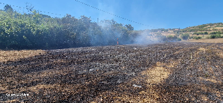 Emergenza incendi in Abruzzo - Scelli: "Giornate durissime, ma il sistema sta reggendo"